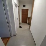 Lux 多博伊